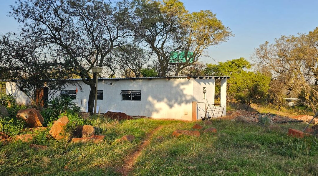 Progress at the Gallery