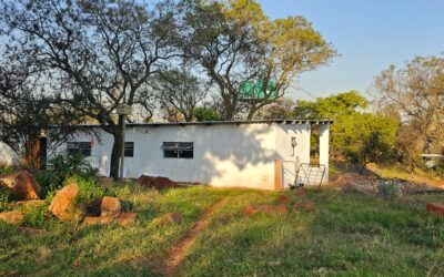 Progress at the Gallery