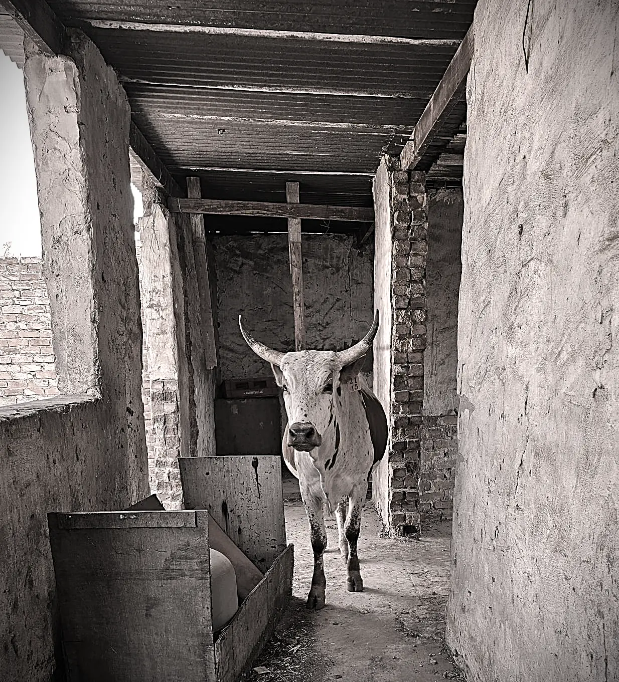 de Poort Art Gallery