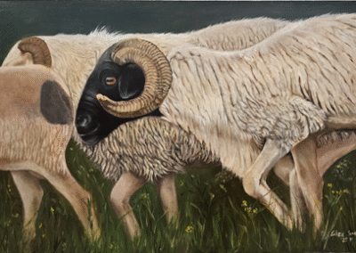 T H E B L A C K F A C E D R A M O I L O N B O A R D 6 0 X 4 0 CM