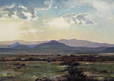 NA DIE STORM KAROO ACRYLIC 50 X 50 CM